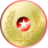 Olympics Gold Medal