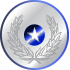 Olympics Silver Medal